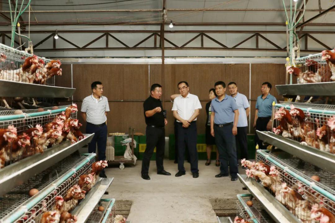 永乐高·(中国区)官方网站